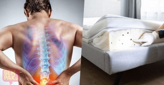 pepijat-back-pain